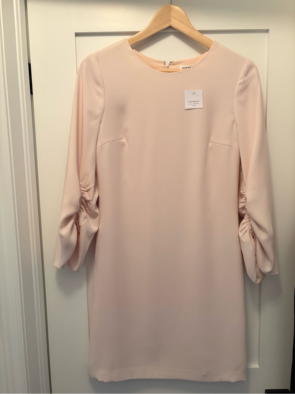 Club Monaco Soft Blush Long Sleeve Shift Dress